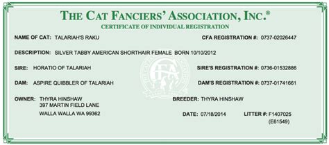 cfa cat registry|cfa registered cattery.